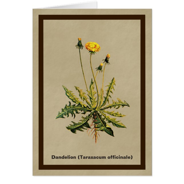 Kronleuchter auf altem Papier (Vorne)