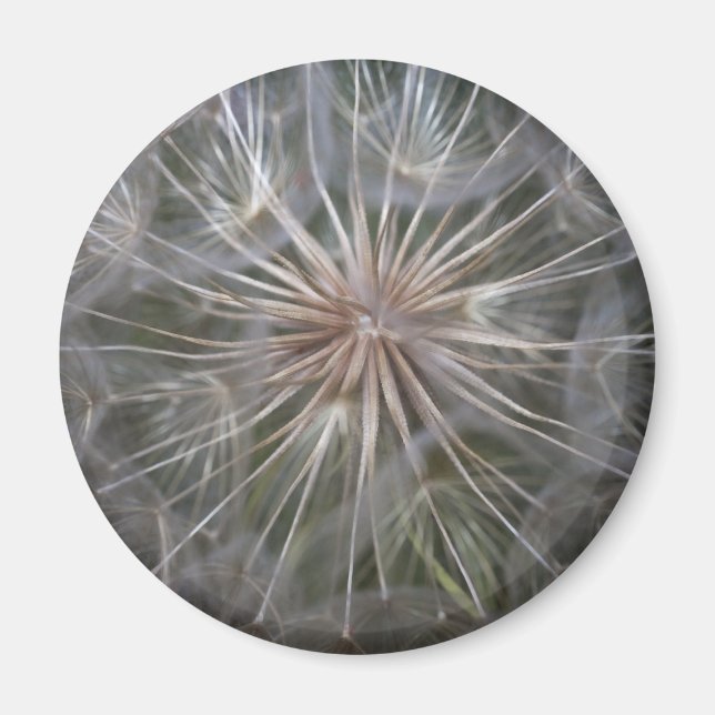 Kronleuchter Magnet (Vorne)