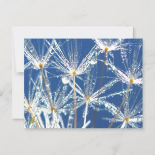 Kronleuchter mit taubenfröhlicher Natur Postkarte