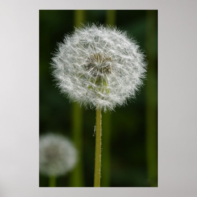 Kronleuchter Poster (Vorne)