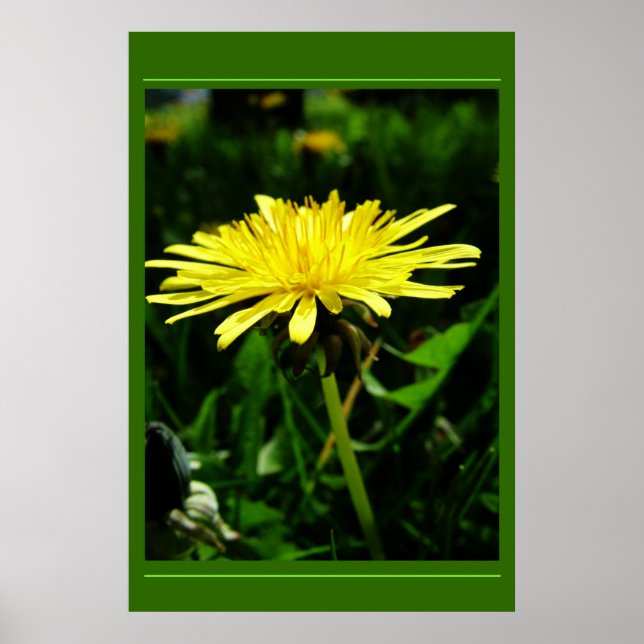 Kronleuchter Poster (Vorne)