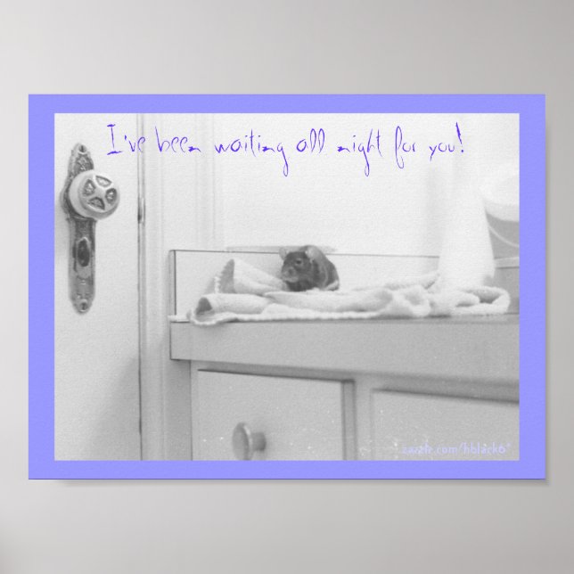 Kronleuchter Poster (Vorne)