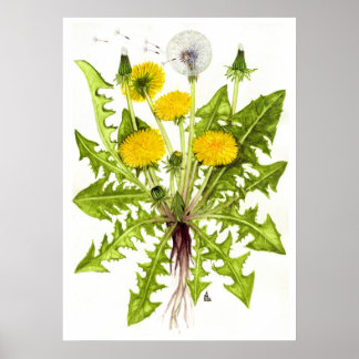Kronleuchter — Sue Abonyi Poster