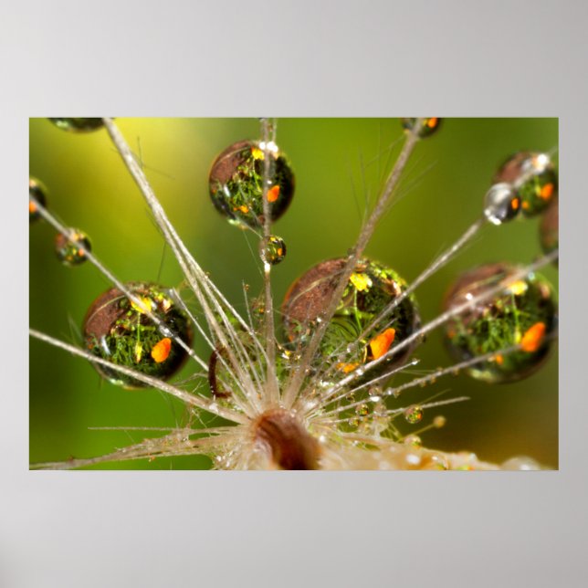 Kronleuchter und Wassertropfen Poster (Vorne)
