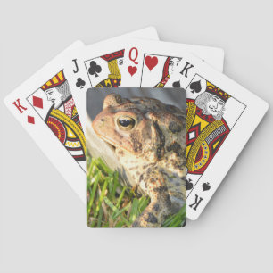 Kröte Spielkarten