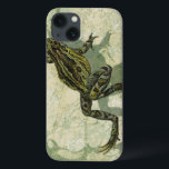 Kröte Swinning im Wasser Case-Mate iPhone Hülle<br><div class="desc">Visions-Studio verwendet die das giclée (französisch für "sprühen ") Technik in diesem Kunststück. Es lässt es einzigartig und die verschiedenen grünen Abstufungen den Peacefulness hervorheben auf diesem Bild. Wählen Sie dieses Stück Grafik für Ihr folgendes Zazzle Produkt.</div>