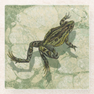 Kröte Swinning im Wasser Glasuntersetzer