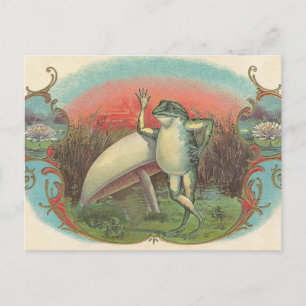 Kröte und Pilz Postkarte
