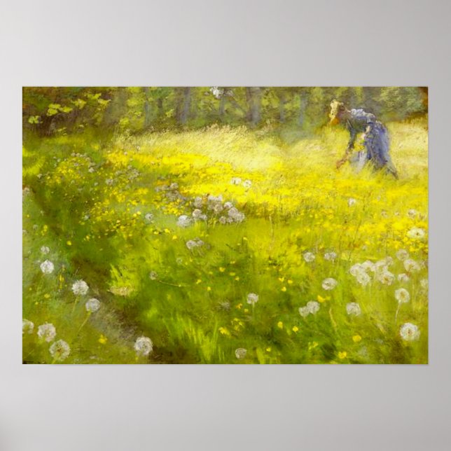 Kroyer's Garden in Skagen Poster (Vorne)