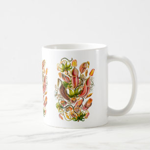 Krug-Pflanzen Tasse