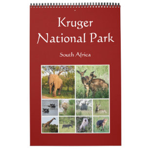 Kruger Afrikanische Safari Kalender