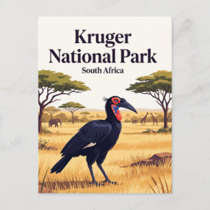 Kruger-Nationalpark Südafrika Postkarte