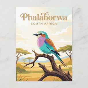 Kruger-Nationalpark Südafrika Postkarte