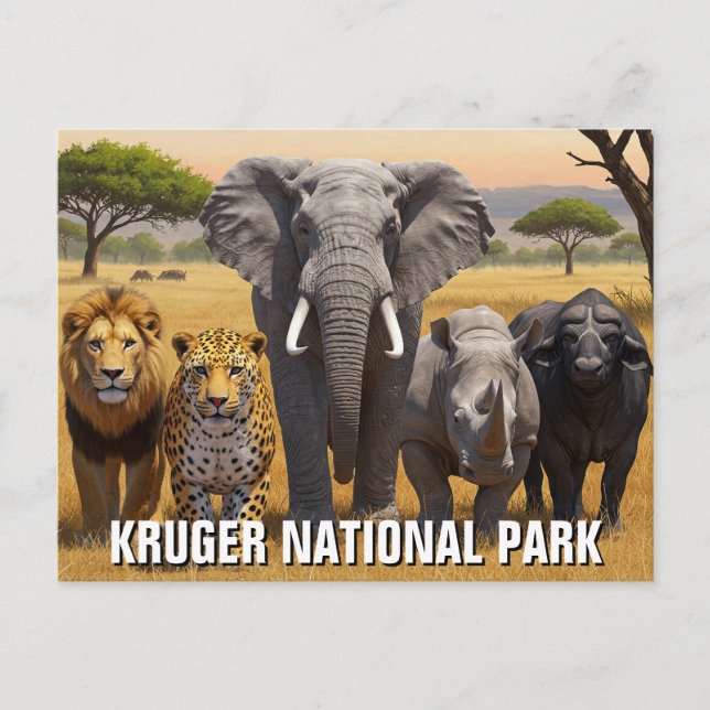 Krüger Nationalpark Südafrika Reisen Postkarte (Vorderseite)