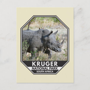 Kruger Nationalpark Südafrika Rhino Postkarte