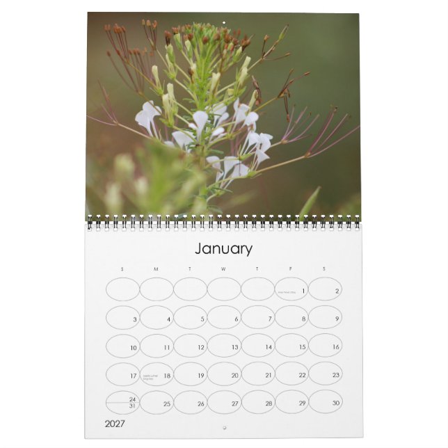 Kruger Nationalpark Wildlife calender Kalender (Jan 2027)