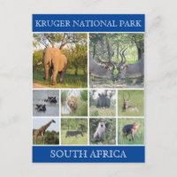 Krüger np wild
