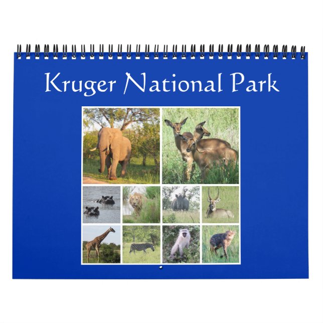 Krüger Safari Kalender (Titelbild)