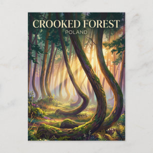 Krummer Wald Polen Postkarte