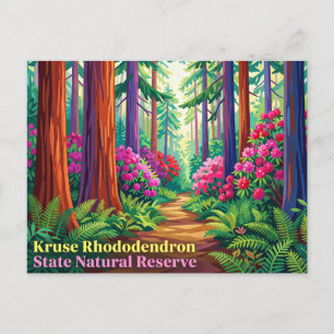 Kruse Rhododendron State Natural Reserve Postkarte
