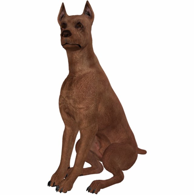 KRW Miniaturpinscher Freistehende Fotoskulptur (Vorne)