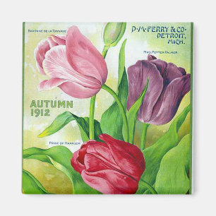 KRW-Perry-Birnen und Samen 1912 Vintager Magnet