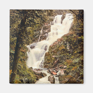 KRW Torc Cascade Killarney Vintag Magnet