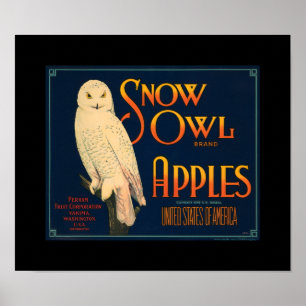KRW Vintag Snow Owl Apfelfruchtkasten Lable Poster
