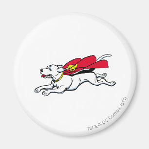 Krypto Magnet