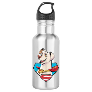 Krypto S-Shield Graphic Edelstahlflasche