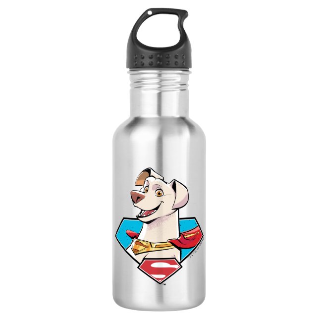 Krypto S-Shield Graphic Edelstahlflasche (Vorderseite)