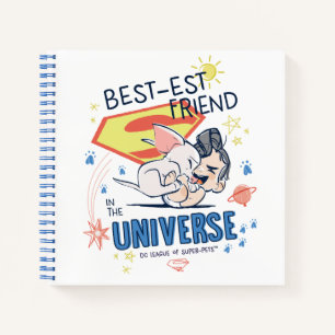 Krypto & Superman: Der beste Freund im Universum Notizbuch