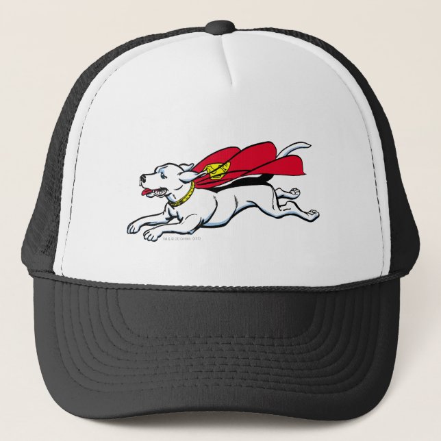 Krypto Truckerkappe (Vorderseite)
