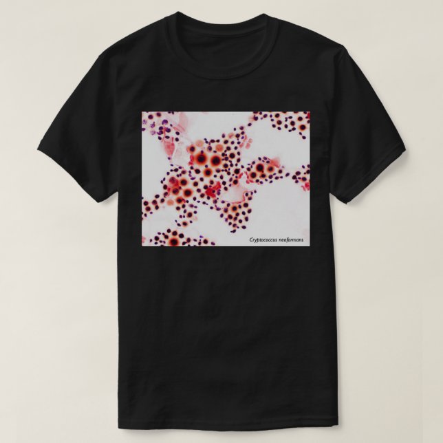 Kryptococcus neoformans T-Shirt (Design vorne)