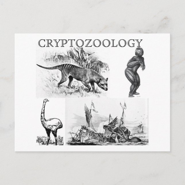 Kryptozoology Postcard Postkarte (Vorderseite)