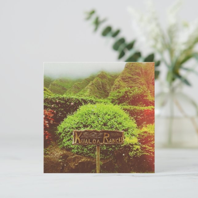 Kualoa Ranch (Stehend Vorderseite)