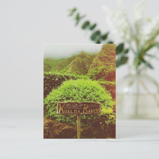 Kualoa Ranch Postkarte (Stehend Vorderseite)