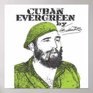Kuban Evergreen Poster