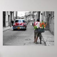 kubanisch-Florist