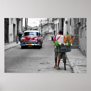 Kubanischer Florist Poster
