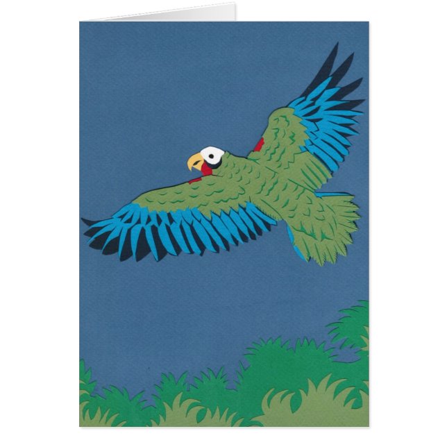 Kubanischer Papagei (Vorne)