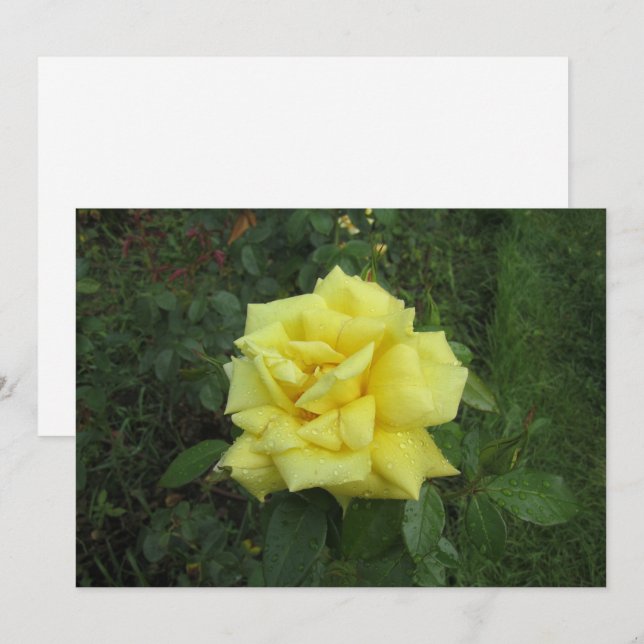 Kubistische Rose Feiertagskarte (Vorne/Hinten)