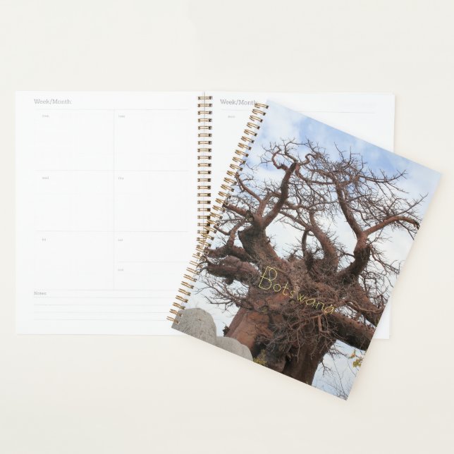 Kubu Island Baobab Tree Botswana Landschaft Planer (Anzeige)