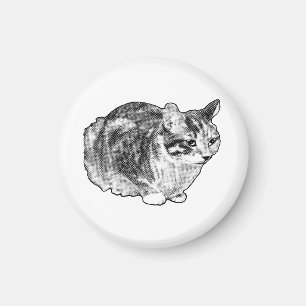 Küche Galerie: Tabby mit Schneefunkten Magnet