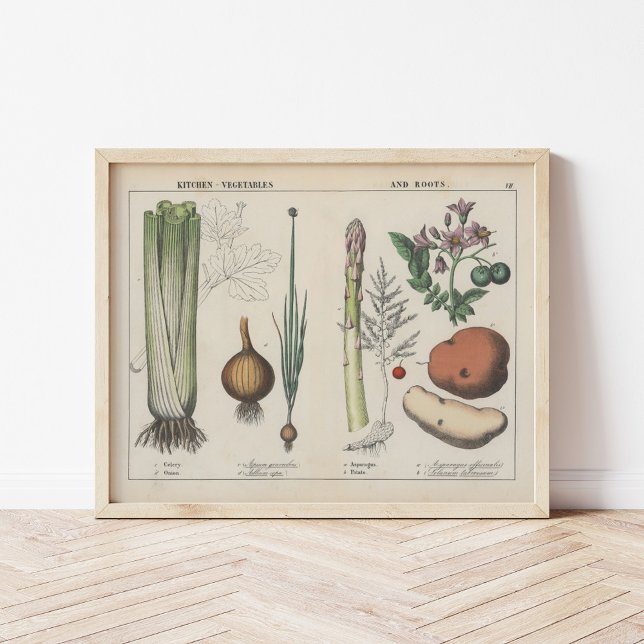 Küche Gemüse | Charlotte Mary Yonge Poster (Von Creator hochgeladen)