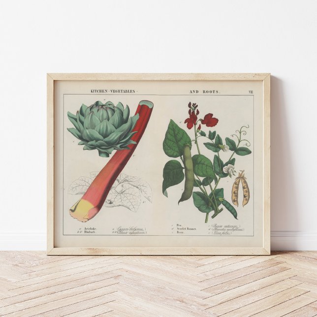 Küche Gemüse | Charlotte Mary Yonge Poster (Von Creator hochgeladen)