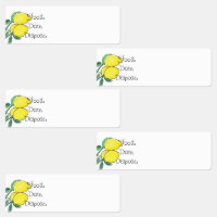 Küche Organisation Lemon Food Labels
