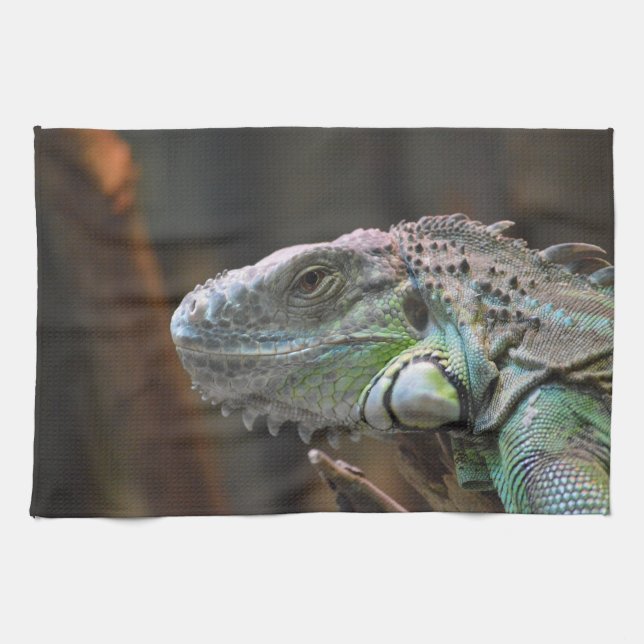 Küchentuch mit Kopf der farbenfrohen Iguana-Eidech (Horizontal)