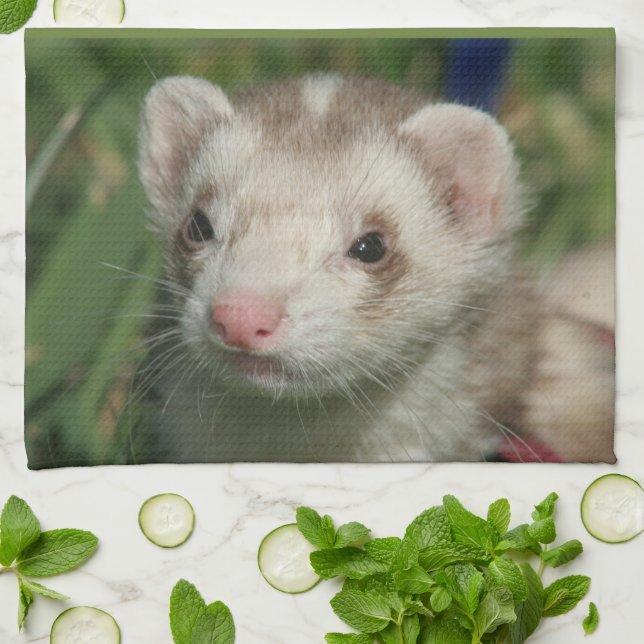 Küchentücher (Gefaltet)