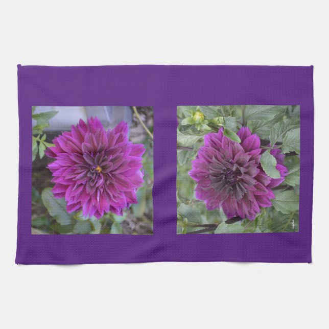 Küchentücher mit lila Dahlien (Horizontal)